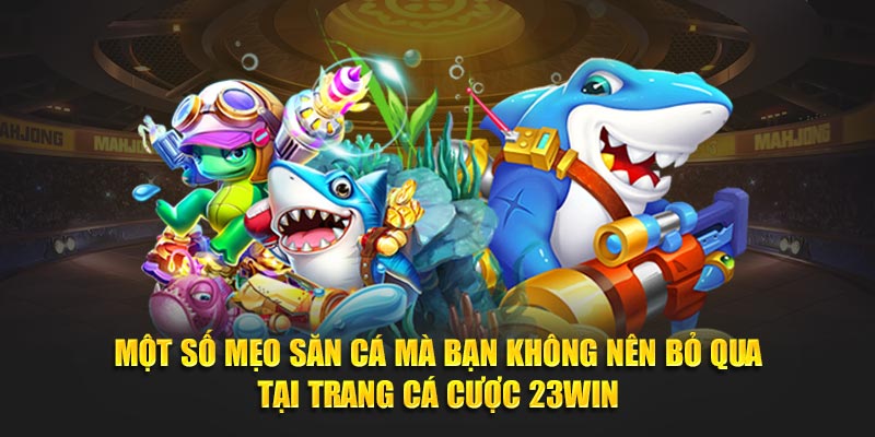 Một số mẹo săn cá mà bạn không nên bỏ qua tại trang 23WIN